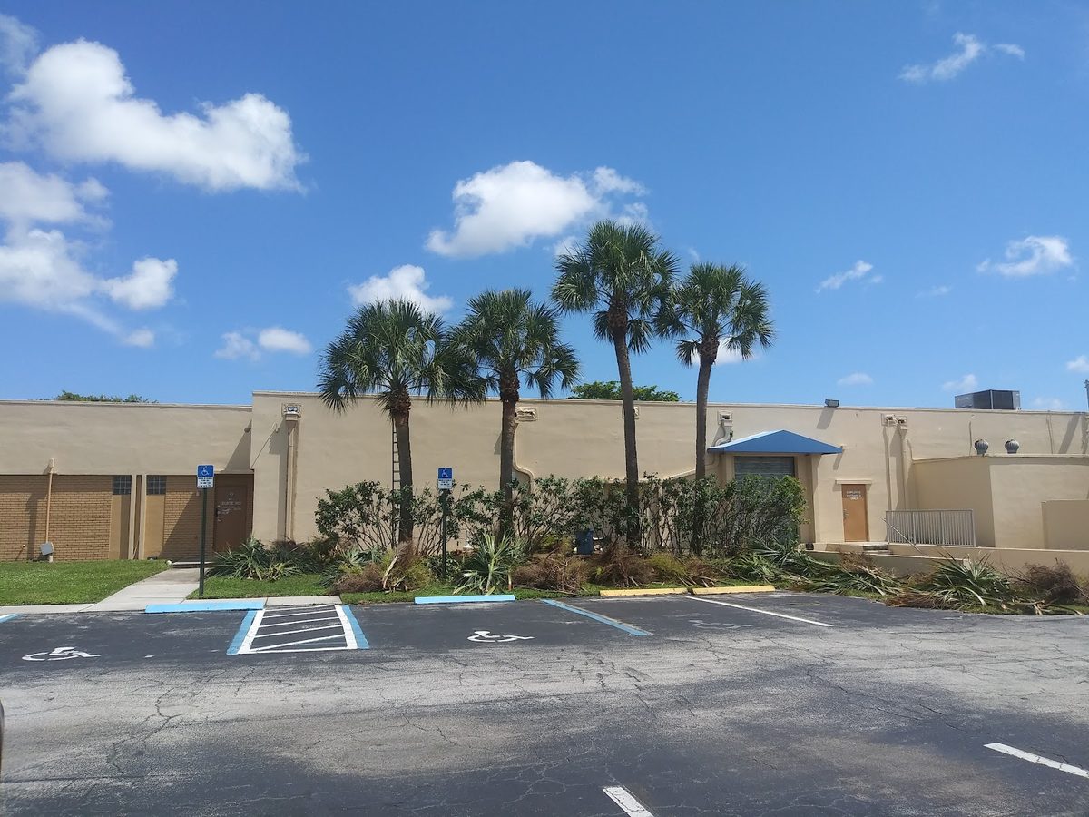 Commercial frontage palms, trimmed clean
