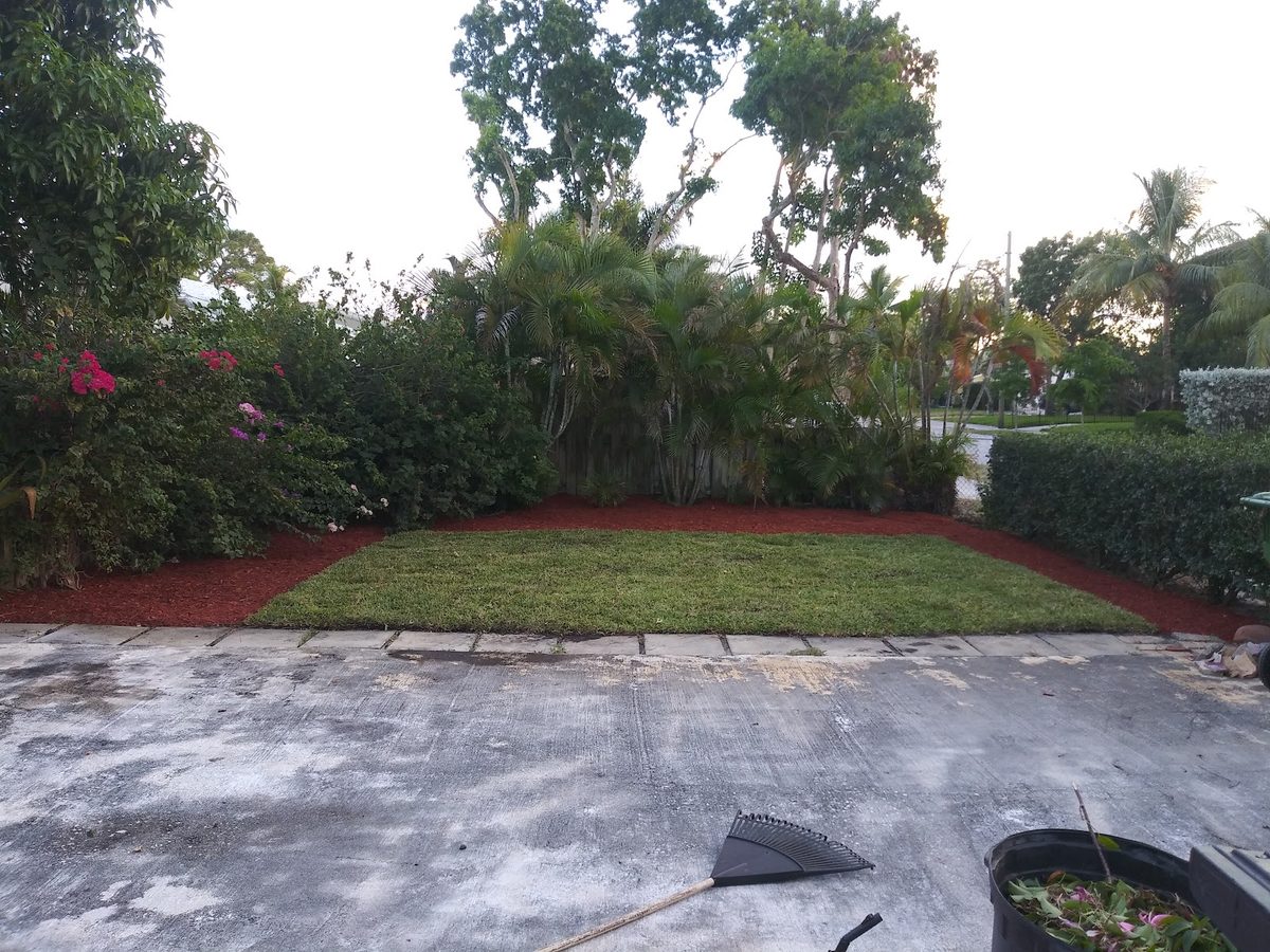 Lakeside yard, cleaned and finished