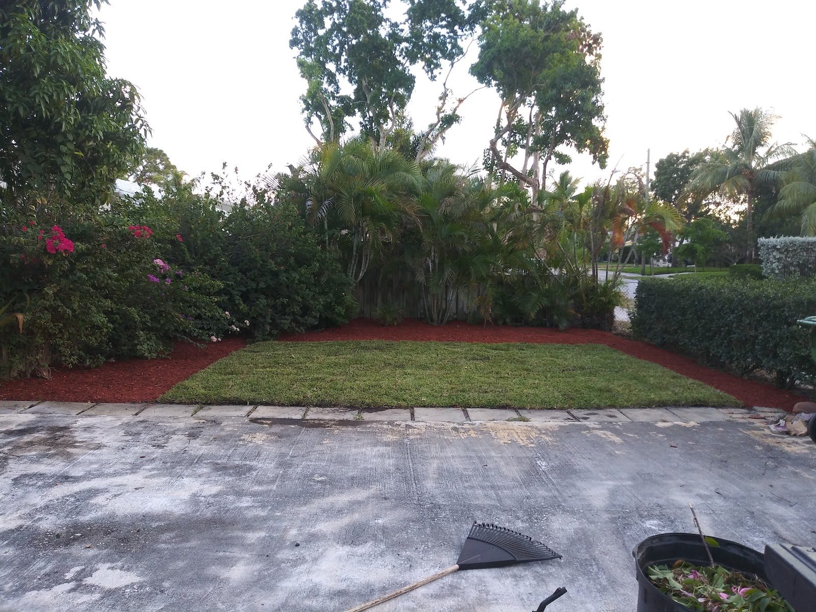 Landscape Service & Cleanup