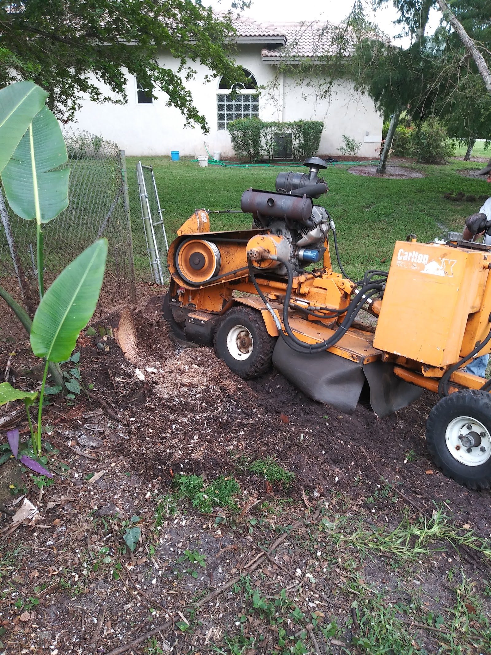 Stump Grinding